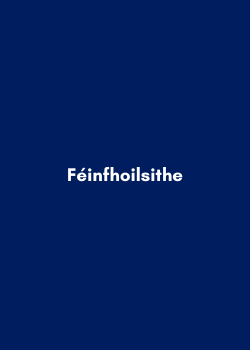 Féinfhsoilsithe ag Noel Ó Gallachóir